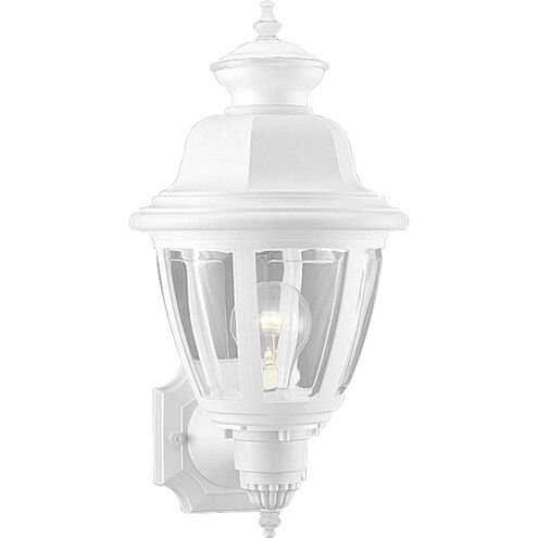 Non-Metallic 1 Light 16 inch White Outdoor Wall Lantern