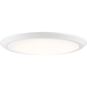 Verge 1 Light 20.00 inch Flush Mount