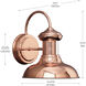 Brookside 1 Light 10 inch Cognac Outdoor Wall Lantern in Copper, Small