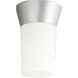 Hard-Nox 1 Light 7 inch Satin Aluminum Outdoor Wall Lantern