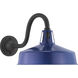 Cedar Springs 1 Light 11 inch Navy Outdoor Wall Lantern, Extra Large