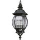 Onion 4 Light 11.13 inch Textured Black Outdoor Hanging Lantern