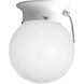 Glass Globes 1 Light 6 inch White Flush Mount Ceiling Light in Pull-Chain Switch