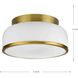 Parkhurst 2 Light 11.25 inch Brushed Bronze Flush Mount Ceiling Light