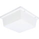 Hard-Nox 2 Light 4 inch White Outdoor Wall Lantern in White Ribbed Polycarbonate