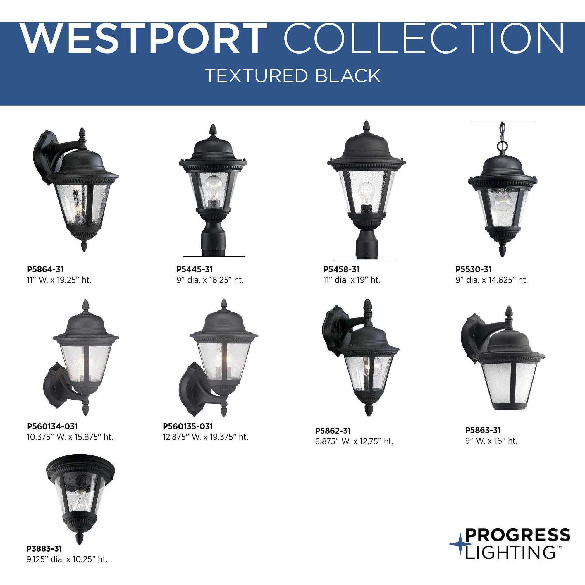 Westport 1 Light 13 inch Textured Black Outdoor Wall Lantern in Bulbs Not Included, Clear Seeded, Small
