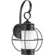 Haddon Outdoor Wall Lantern, Medium