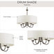 Drum Shade 5 Light 21.63 inch Antique Bronze Chandelier Ceiling Light