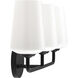 Celino 3 Light 23.25 inch Black Vanity Light Wall Light