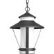 Via 1 Light 9.88 inch Black Outdoor Hanging Lantern