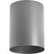 Cylinder LED 5 inch Metallic Gray Outdoor Flush Mount Cylinder in Metallic Grey, LED Lamping, Progress LED