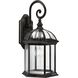 Dillard 1 Light 9.50 inch Outdoor Wall Light