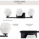 Copeland 3 Light 24 inch Matte Black Vanity Light Wall Light