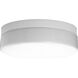 Hard-nox 2 Light 13.75 inch White Outdoor Ceiling Mount