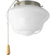 School House 1 Light Brushed Nickel Fan Light Kit