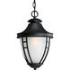 Fairview 1 Light 11 inch Black Outdoor Hanging Lantern