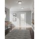 Dome Glass CTC 2 Light 13.25 inch Polished Chrome Flush Mount Ceiling Light in Etched