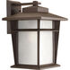 Loyal 1 Light 16 inch Antique Bronze Outdoor Wall Lantern