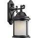 Ashmore 1 Light 21 inch Black Outdoor Wall Lantern