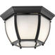 Roman Coach 2 Light 11 inch Black Outdoor Close-to-Ceiling Lantern
