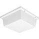 Hard-nox 2 Light 11 inch White Outdoor Ceiling Mount in White Glass