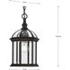 Dillard 1 Light 7.5 inch Antique Bronze Outdoor Hanging Lantern