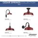 Cedar Springs 1 Light 13 inch Red Outdoor Hanging Light