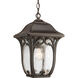 Enchant 1 Light 9.5 inch Espresso Outdoor Hanging Lantern