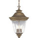 Savannah 3 Light 12 inch Burnished Chestnut Outdoor Hanging Lantern