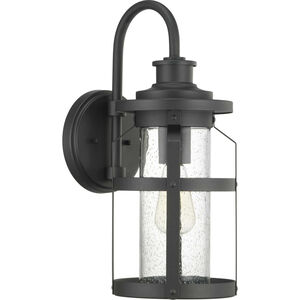 Haslett 1 Light 18 inch Textured Black Outdoor Wall Lantern, Medium