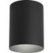 Cylinder 1 Light 5 inch Black Outdoor Ceiling Mount Cylinder in Standard Lamping