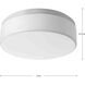 Maier LED LED 14 inch White Flush Mount Ceiling Light, Progress LED