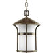 Welcome 1 Light 9 inch Antique Bronze Outdoor Hanging Lantern