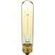 Lamps Incandescent T9 E26 40 watt 120 Antique Bulb
