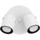 Directional 2 Light 9 inch White Multi Directional Wall/Ceiling Light