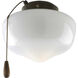 AirPro Fan Light Kit