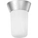 Cast Aluminum 1 Light 5 inch Satin Aluminum Outdoor Ceiling Mount