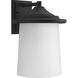 Essential Outdoor Wall Lantern, Large