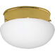 Fitter 1 Light 8 inch Polished Brass Close-to-Ceiling Ceiling Light in Bulbs Not Included