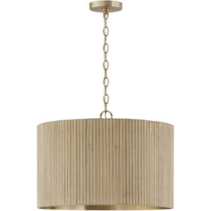 Donovan 3 Light 19.75 inch Pendant