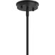 Reines 4 Light 14 inch Matte Black Foyer Pendant Ceiling Light