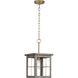 Hedgerow 1 Light 10 inch Distressed Brass Mini Pendant Ceiling Light