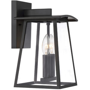 Calderwood Outdoor Wall Lantern