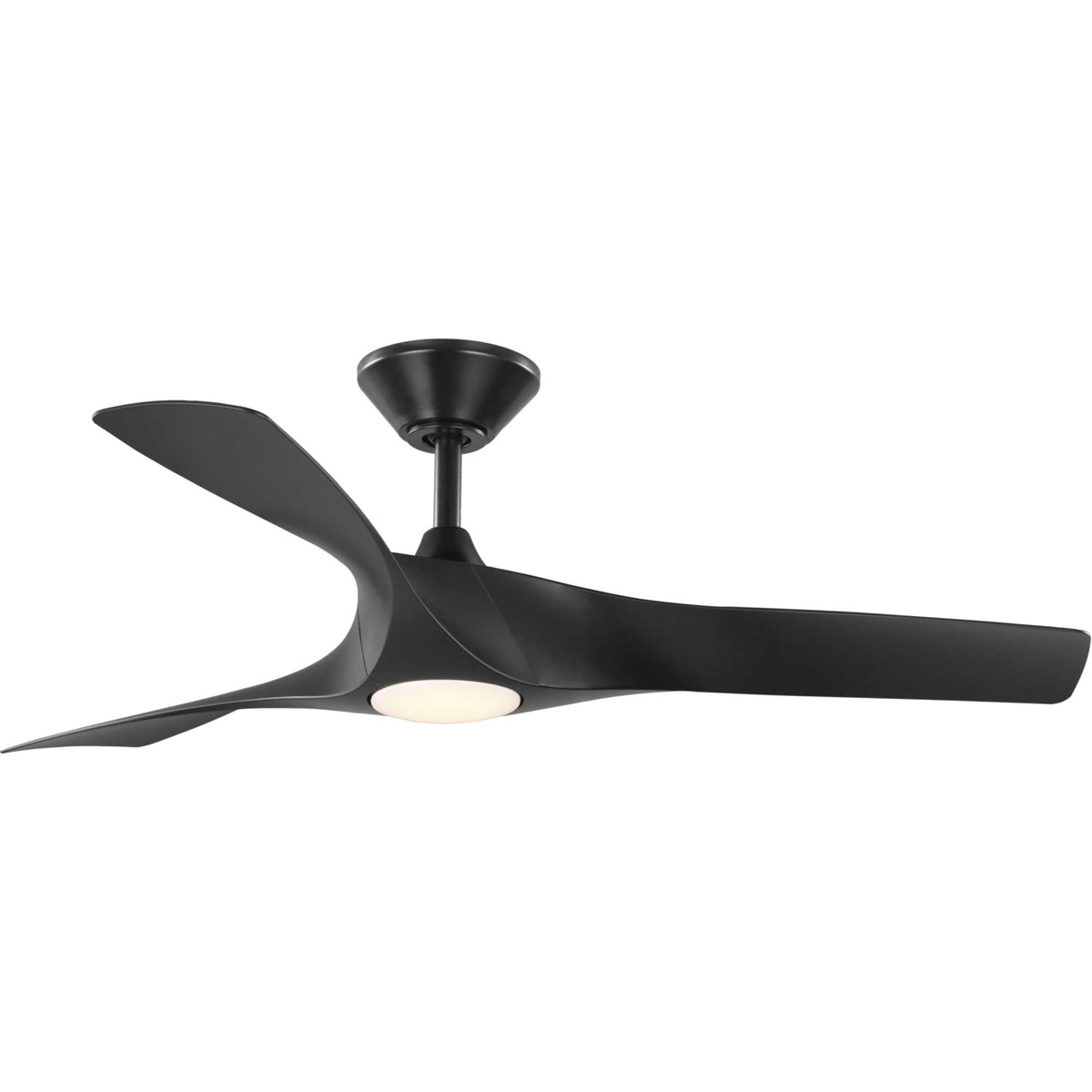 Progress P250060-031-30 Ryne 52 inch Black Outdoor Ceiling Fan