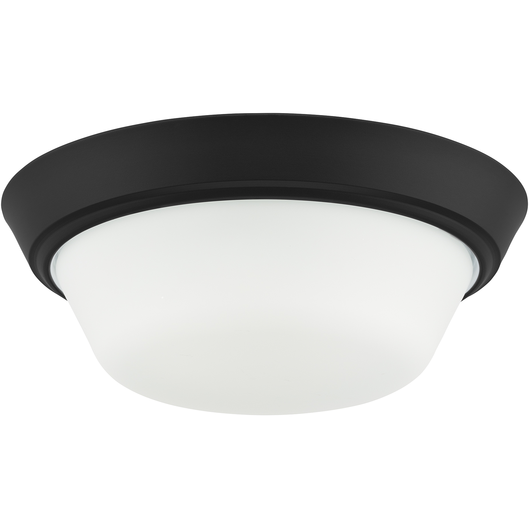 Edessa 2 Light 12 inch Black Flush Mount Ceiling Light
